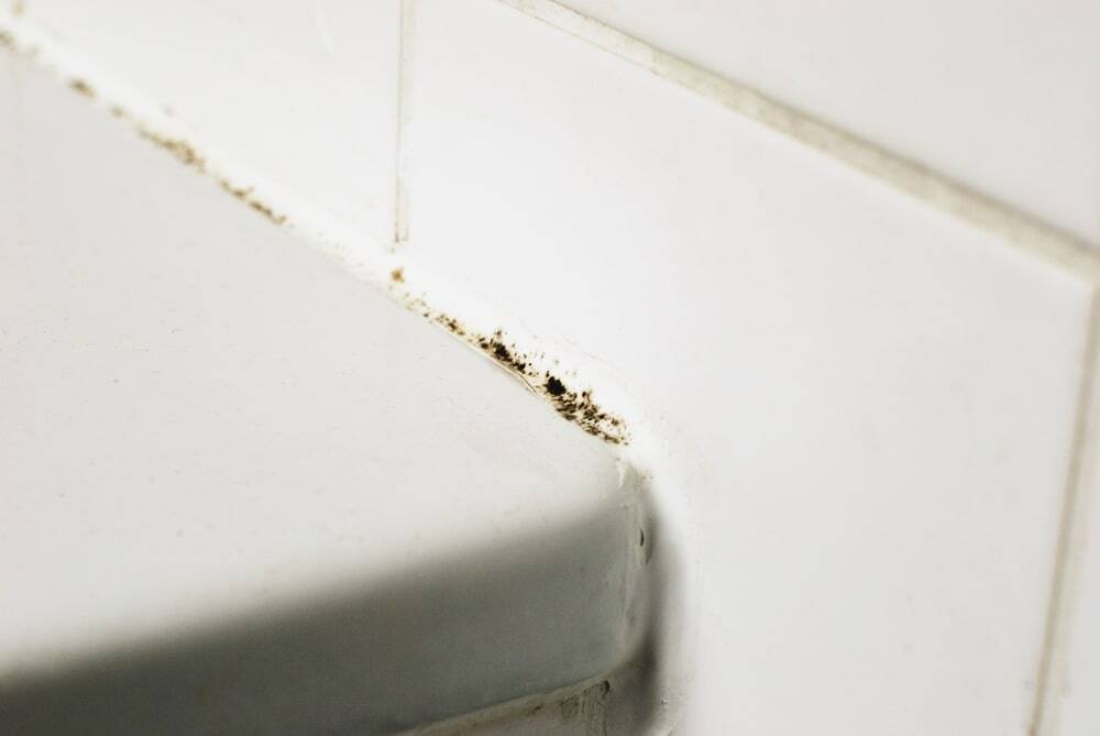 How to Get Rid Of Mould in Your Bathroom
